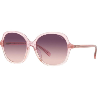 Coach HC8360U - Transparent Pink/Purple Pink Gradient Lenses