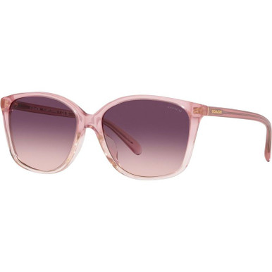 Coach HC8361U, Transparent Pink Gradient/Purple Pink Gradient Lenses