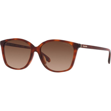 Coach HC8361U - Caramel Tortoise/Brown Gradient Polarised Lenses