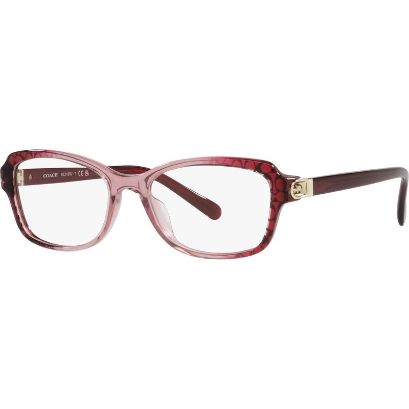 Coach Glasses HC6193U