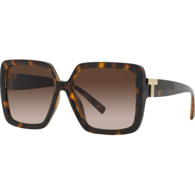 Havana/Brown Gradient Lenses