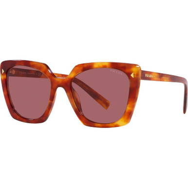 Prada PR23ZS, Light Tortoise/Dark Violet Lenses