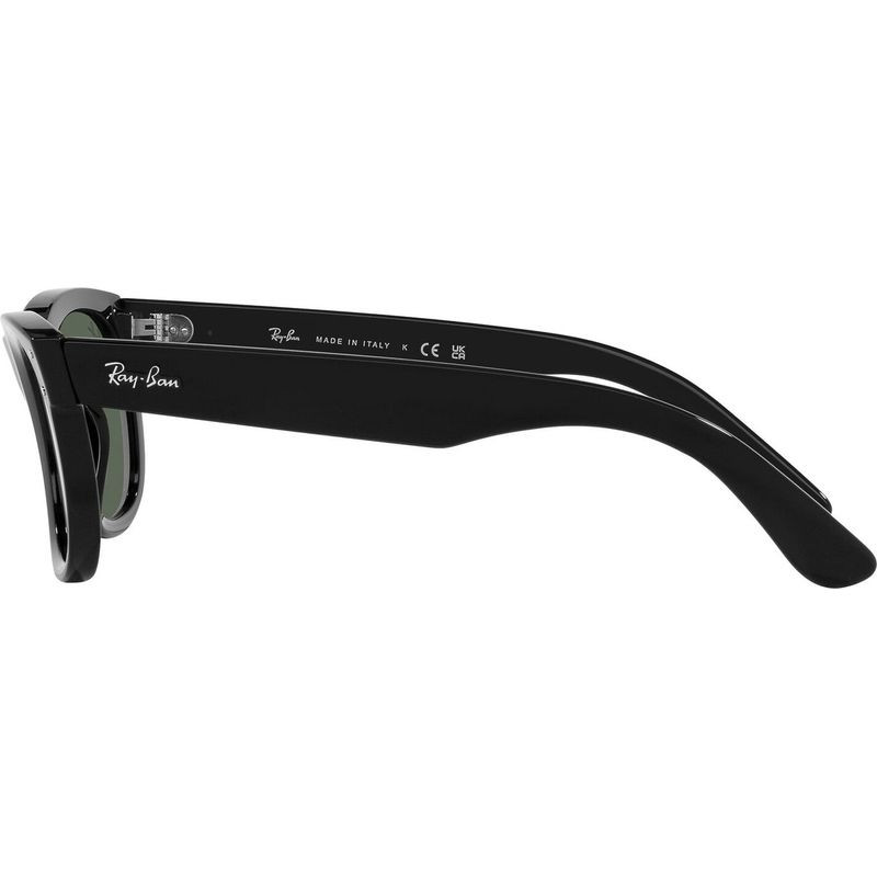 Ray-Ban Wayfarer Reverse RBR0502S