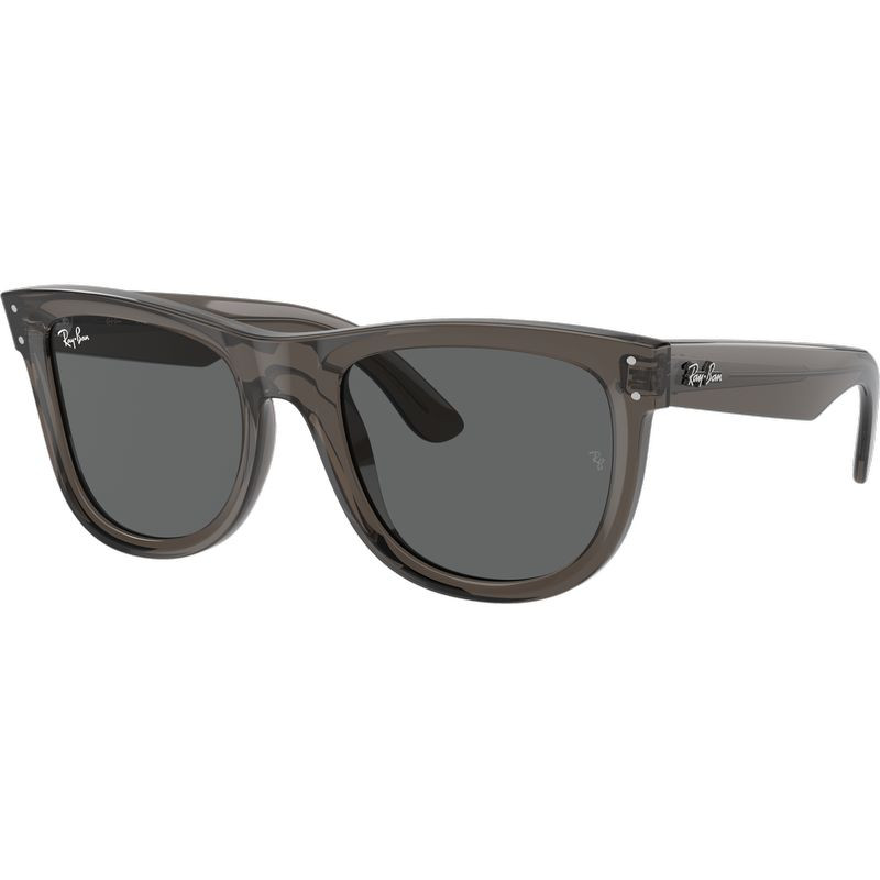 Ray-Ban Wayfarer Reverse RBR0502S