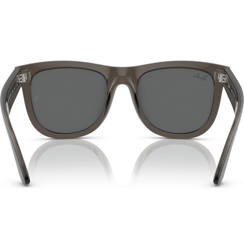 Ray-Ban Wayfarer Reverse RBR0502S
