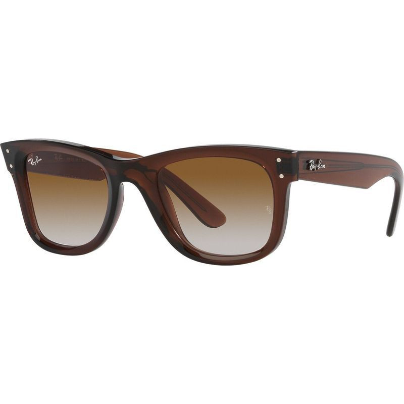 Ray-Ban Wayfarer Reverse RBR0502S