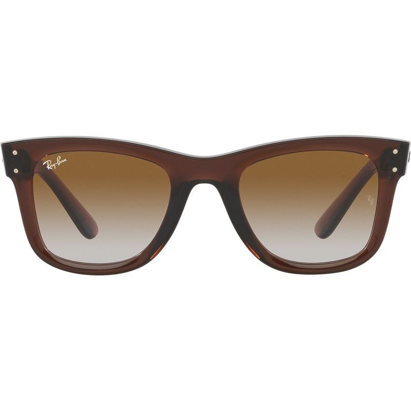 Ray-Ban Wayfarer Reverse RBR0502S