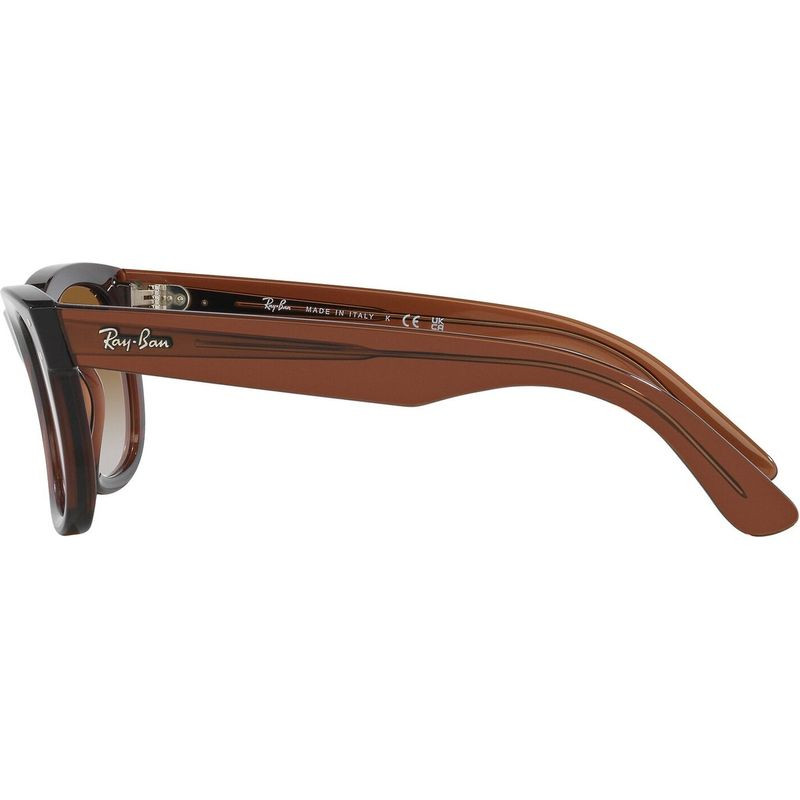 Ray-Ban Wayfarer Reverse RBR0502S