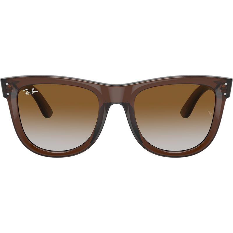 Ray-Ban Wayfarer Reverse RBR0502S