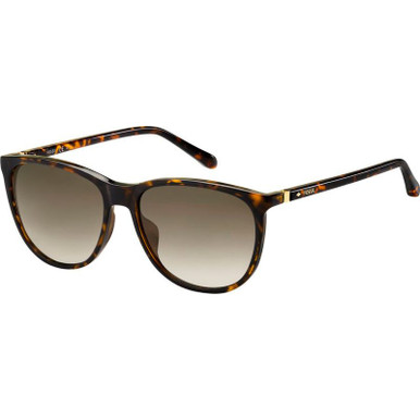 Fossil 3082/S, Havana/Brown Gradient Lenses