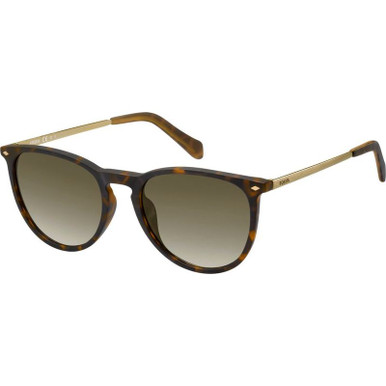 3078/S - Havana/Brown Gradient Lenses