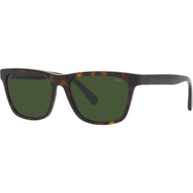 /polo-ralph-lauren-sunglasses/ph4167-416750037156