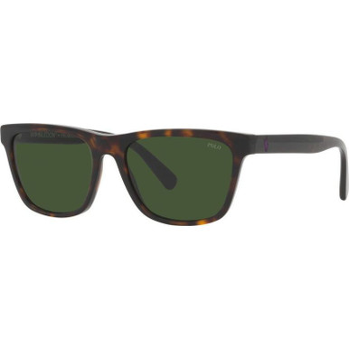 Polo Ralph Lauren PH4167, Shiny Dark Havana Wimbledon/Dark Green Lenses