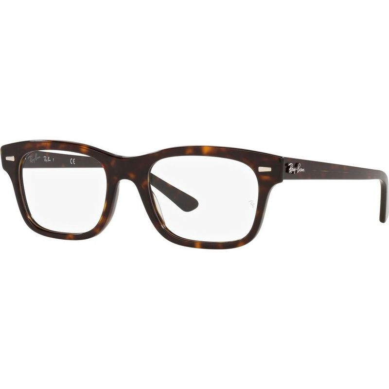 Ray-Ban Glasses Mr Burbank RX5383