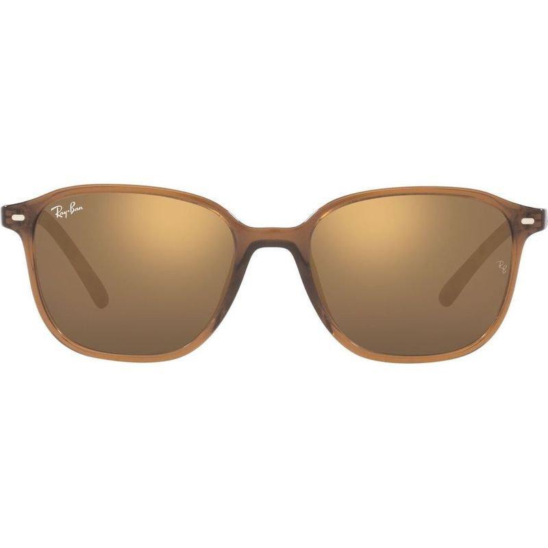 Ray-Ban Leonard RB2193