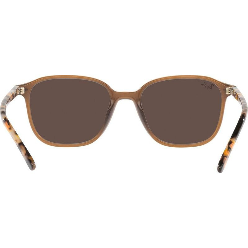 Ray-Ban Leonard RB2193