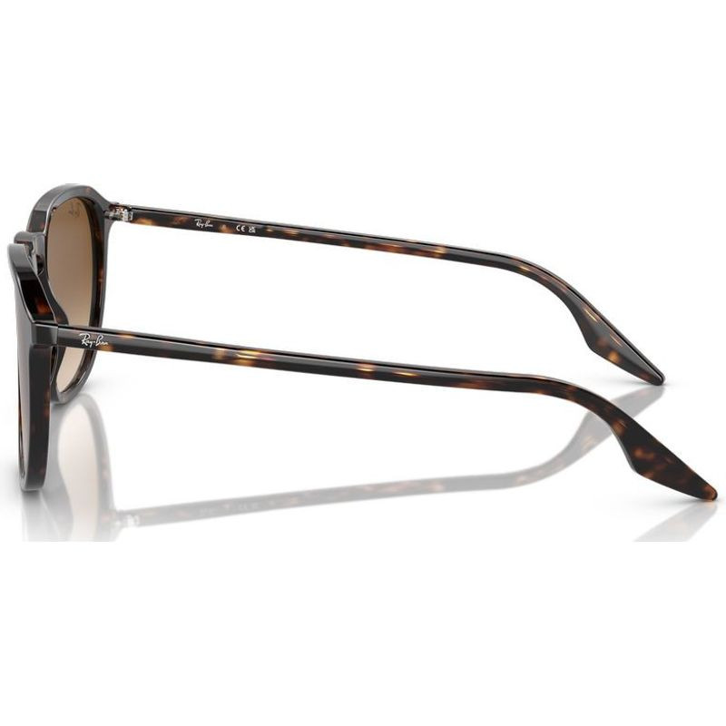 Ray-Ban RB2203