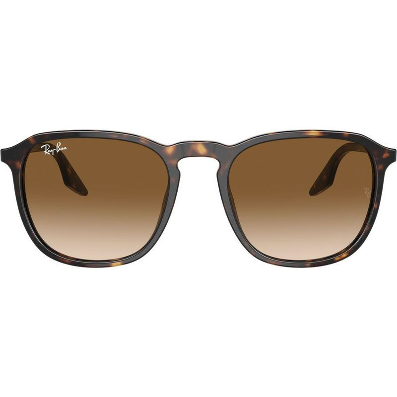 Buy Ray-Ban RB2203 Havana/Brown Clear Gradient 55 Sunglasses