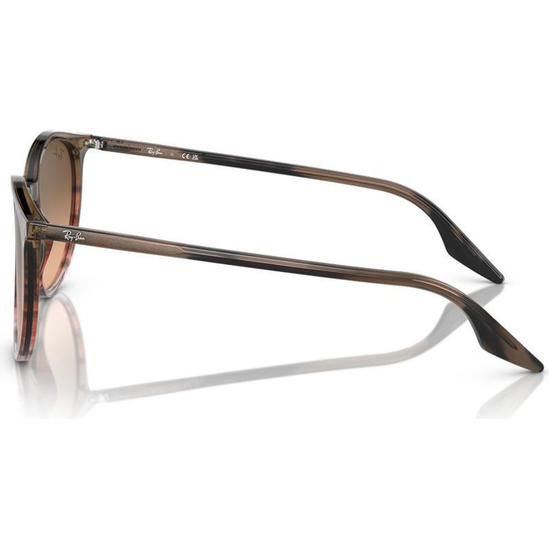 Ray-Ban RB2204