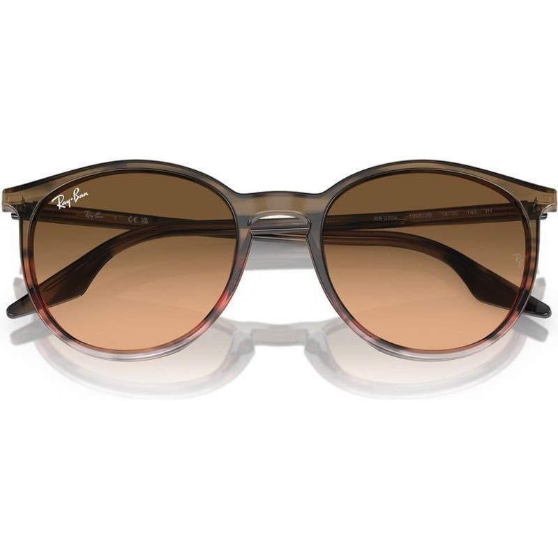 Ray-Ban RB2204