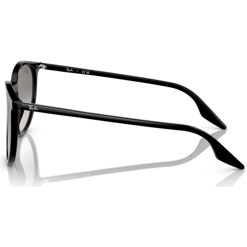 Ray-Ban RB2204