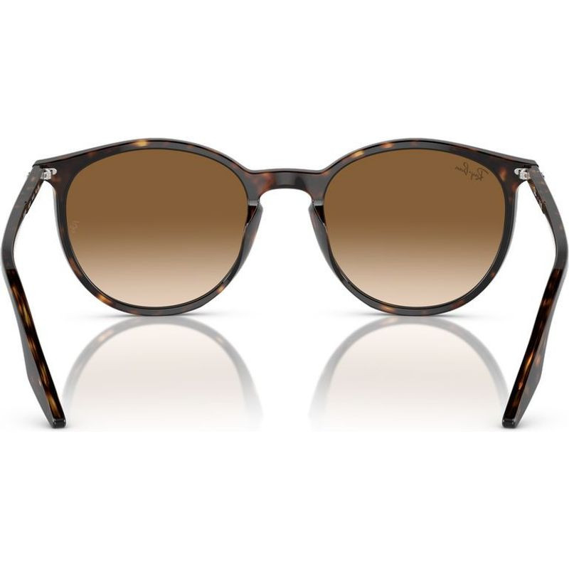 Ray-Ban RB2204