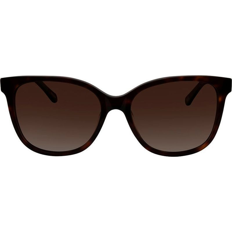 Bill Bass Wilhelmina