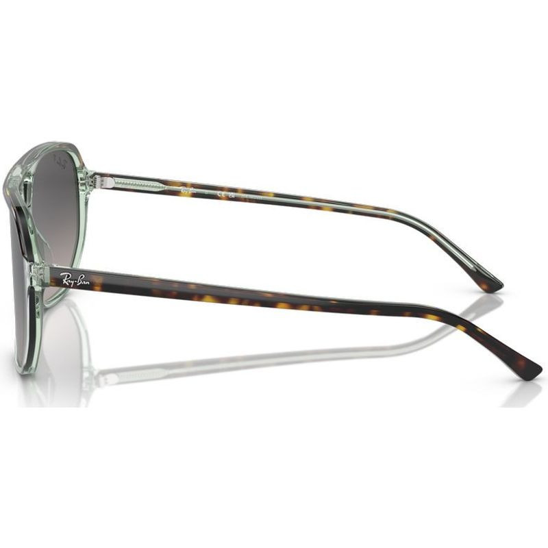 Ray-Ban Bill One RB2205