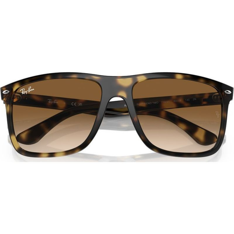 Ray-Ban Boyfriend Two RB4547