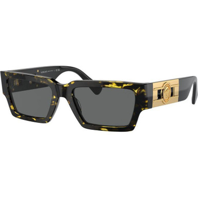 /versace-sunglasses/ve4459-445954288754