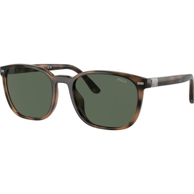 PH4208U - Shiny Havana/Bottle Green Lenses