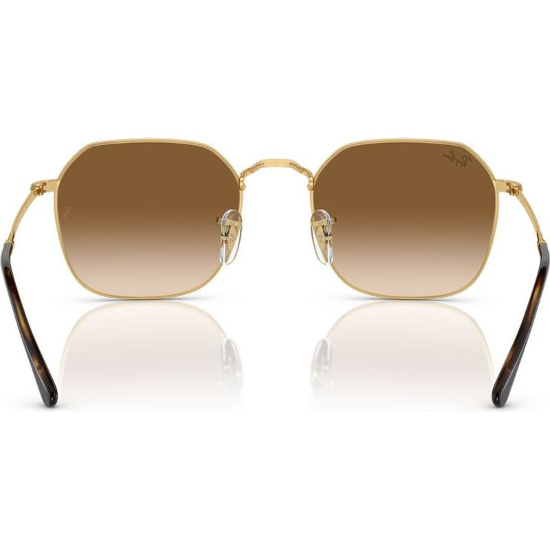 Ray-Ban Jim RB3694