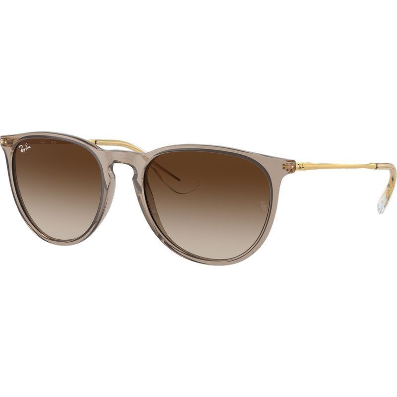 Ray-Ban Erika Classic RB4171