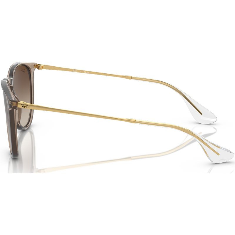 Ray-Ban Erika Classic RB4171