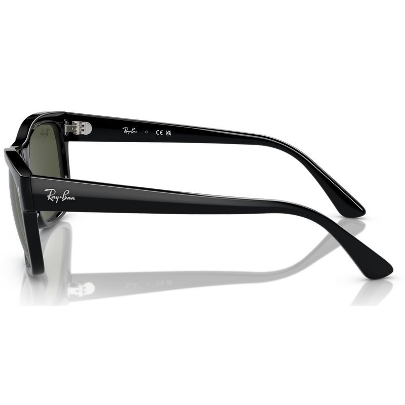 Ray-Ban RB4428