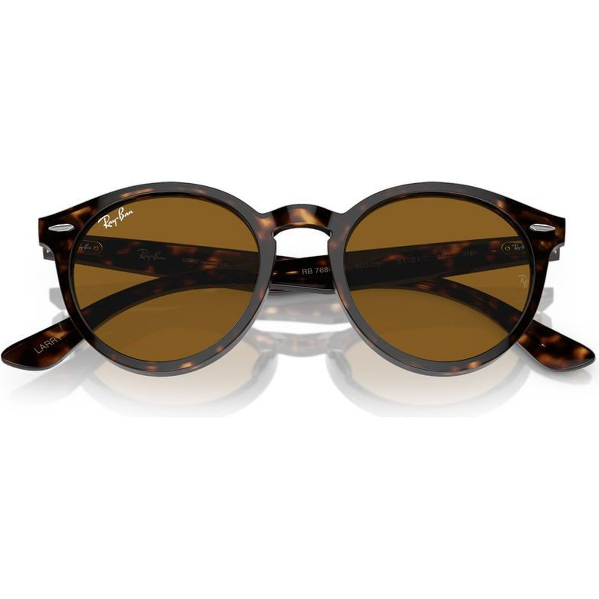 Ray-Ban Larry RB7680S