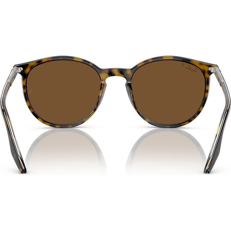 Ray-Ban RB2204
