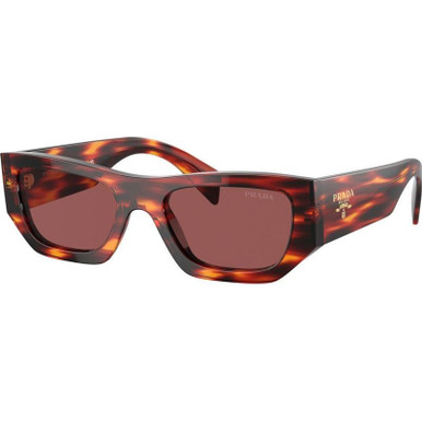 Prada PRA01S, Havana Red/Dark Violet Lenses