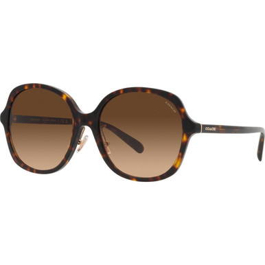 Coach HC8360F - Dark Tortoise/Brown Gradient Lenses