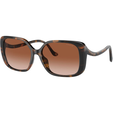 Coach HC8376U, Dark Tortoise/Brown Peach Gradient Lenses