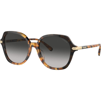 Coach HC8377U - Honey Tortoise and Black Gradient/Grey Gradient Lenses
