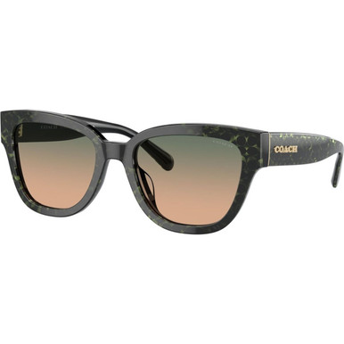 /coach-sunglasses/hc8379u-8379u57841354