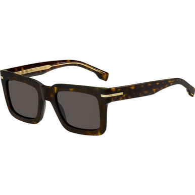 /boss-sunglasses/1501s-boss1501s08651ir