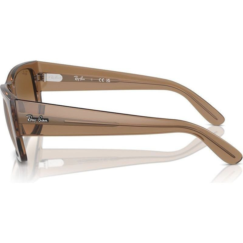 Ray-Ban Carlos RB0947S