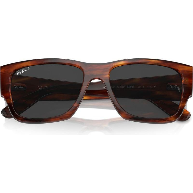 Ray-Ban Carlos RB0947S