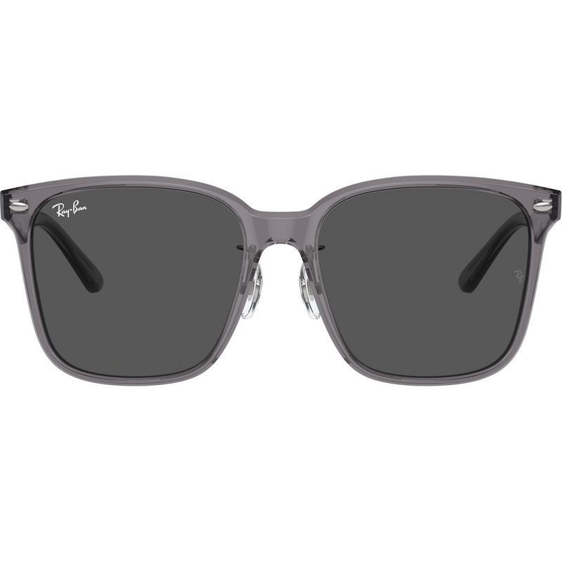 Ray-Ban RB2206D