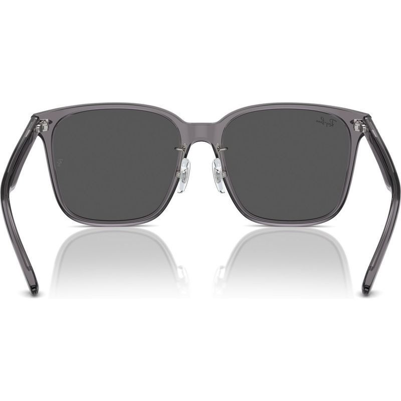 Ray-Ban RB2206D