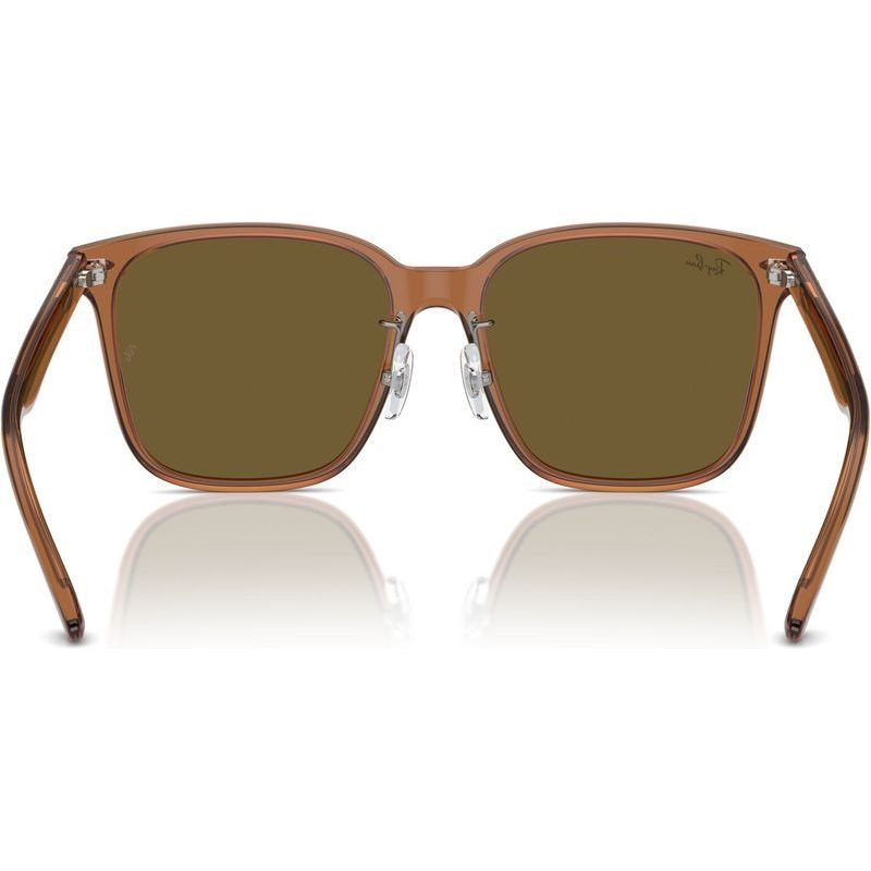 Ray-Ban RB2206D