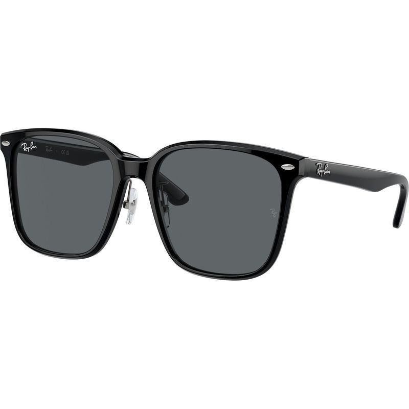 Ray-Ban RB2206D