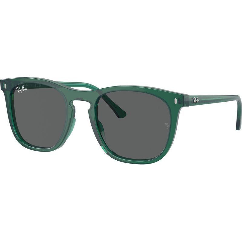 Ray-Ban RB2210